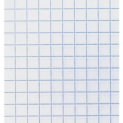 10 Cahiers à Spirale 180 Pages 5 X 5 Format A4 Forever Coloris Assortis, Le Lot 2 10 Cahiers à Spirale 180 Pages 5 X 5 Format A4 Forever Coloris Assortis, Le Lot – Image 2