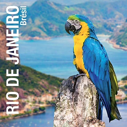 12 Blocs Notes Repositionnables Post-it® Super Sticky Carnival 76 X 127 Mm 2 12 Blocs Notes Repositionnables Post-it® Super Sticky Carnival 76 X 127 Mm – Image 2