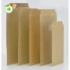 250 Pochettes 90 G Kraft Blond Adour 90 G/m² 229 X 324 Mm GPV Coloris Kraft Brun, Le Lot