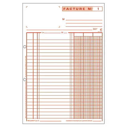 5 Manifolds Autocopiants Pré-imprimés Factures Dupli 21 X 14,8 Exacompta, Le Lot 2 5 Manifolds Autocopiants Pré-imprimés Factures Dupli 21 X 14,8 Exacompta, Le Lot – Image 2