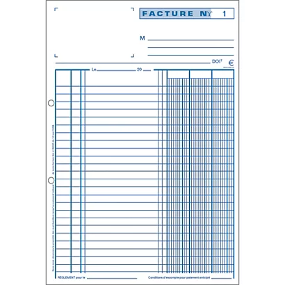 5 Manifolds Autocopiants Pré-imprimés Factures Dupli 21 X 14,8 Exacompta, Le Lot 4 5 Manifolds Autocopiants Pré-imprimés Factures Dupli 21 X 14,8 Exacompta, Le Lot – Image 4