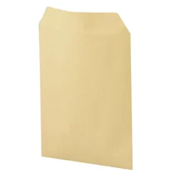 500 Pochettes 90 G Kraft Blond 162 X 229 Mm La Couronne, Le Lot