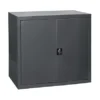 Armoire Monobloc Basse Securise Anthracite