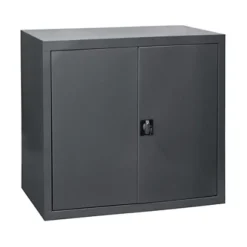 Armoire Monobloc Basse Securise Anthracite