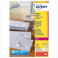 Boite De 840 étiquettes Laser Blanches L7160 Format 63,5 X 38,1 Mm Avery