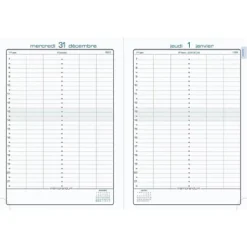 Exacompta Agenda Journalier LA JOURNEE PLANIFIEE 22 - 18 X 22 Cm - Bleu Canard - 2024