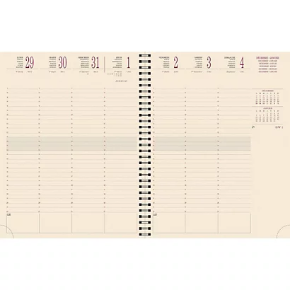 Exacompta Agenda Semainier écologique à Spirales Forever Eurotime 27W - 21 X 27 Cm - Gris - 2024 1 Exacompta Agenda Semainier écologique à Spirales Forever Eurotime 27W - 21 X 27 Cm - Gris - 2024