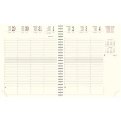 Exacompta Agenda Semainier Swan à Spirales 22W - 18,5 X 22,5 Cm - Bleu Canard - 2024 -Fournitures Bureau Boutique exacompta agenda semainier swan spirales 22w 18 5 x 22 5 cm bleu canard 2024 3000500 2