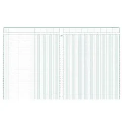 Exacompta Registre Comptable à Colonnes - Piqûre Modèle 14130 - 32x25cm - 31 Lignes - 13 Colonnes - Bloc 80 Feuilles