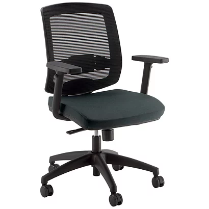 Fauteuil De Bureau Malice Avec Accoudoirs 3D, Dossier H.50 Cm - Maille Filet / Tissu Gris Anthracite 1 Fauteuil De Bureau Malice Avec Accoudoirs 3D, Dossier H.50 Cm - Maille Filet / Tissu Gris Anthracite