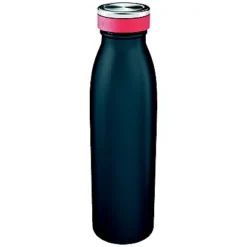 Gourde Isotherme Leitz Cosy Grise 500 Ml