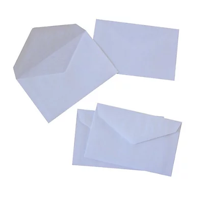GPV Enveloppes Commerciales, Papier, Elections, 90 X 140 Mm, Bande Auto-adhésive, Blanc (Boîte De 1000) 1 GPV Enveloppes Commerciales, Papier, Elections, 90 X 140 Mm, Bande Auto-adhésive, Blanc (Boîte De 1000)