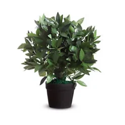 Paperflow Plante Artificielle Laurier Ht. 50 Cm