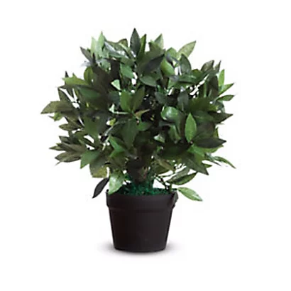Paperflow Plante Artificielle Laurier Ht. 50 Cm 1 Paperflow Plante Artificielle Laurier Ht. 50 Cm