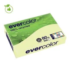 Papier Couleur Evercolor Clairefontaine Jaune A4 80g, 5 Ramettes De 500 Feuilles