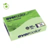 Papier Couleur Evercolor Clairefontaine Vert A4 80g, 5 Ramettes De 500 Feuilles
