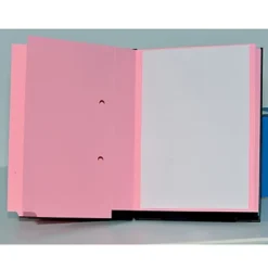 Parapheur Direction 18 Divisions