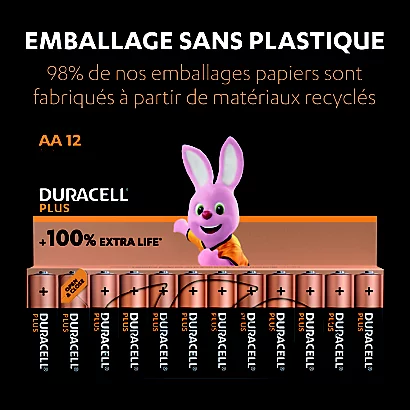 Piles Alcalines Duracell Plus LR06 AA, Lot De 12 1 Piles Alcalines Duracell Plus LR06 AA, Lot De 12