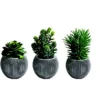 Plantes Artificielles Herboria - Pot Rond En Terre Cuite - Lot De 3
