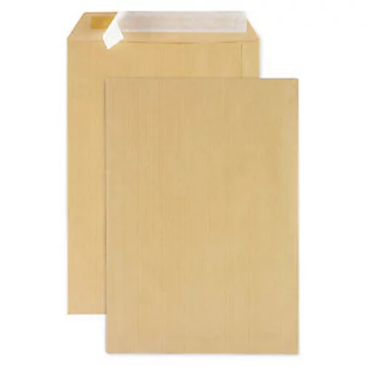 Pochette Kraft Adour 120g Format 26 - 275 X 365 Mm - Bande Autoadhésive- Brun - Boîte De 250 1 Pochette Kraft Adour 120g Format 26 - 275 X 365 Mm - Bande Autoadhésive- Brun - Boîte De 250
