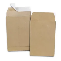 Pochette à Soufflet 3 Cm Kraft Blond Armé 120 G/m² Foramt B5 176 X 250 Mm Sans Fenêtre - Bande Auto-adhésive (boîte De 50)