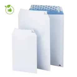 Pochettes Vélin Sans Fenêtre 229 X 324 Mm, Coloris Blanc, Carton De 250