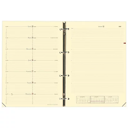 Quo Vadis Recharge Semainier TIMER 29 - Horizontal - 21 X 29,7 Cm - 16 Mois - Septembre 2023 à Décembre 2024 1 Quo Vadis Recharge Semainier TIMER 29 - Horizontal - 21 X 29,7 Cm - 16 Mois - Septembre 2023 à Décembre 2024