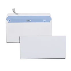 RAJA Enveloppe Blanche Premium DL 110 X 220 Mm100g Sans Fenêtre Fermeture Bande Auto-adhésive - Boîte De 500