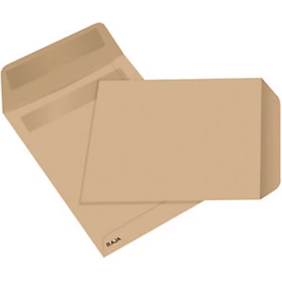 RAJA Enveloppe Kraft Arès Brun Format B5 - 176 X 250 Mm 90g - Fermeture Autocollante (lot De 500) 1 RAJA Enveloppe Kraft Arès Brun Format B5 - 176 X 250 Mm 90g - Fermeture Autocollante (lot De 500)
