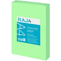 RAJA Papier Couleur A4 Vert Pastel 80g Coloured Paper - Ramette De 500 Feuilles