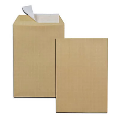 RAJA Pochette Kraft Armé 120g Format B5 - 176 X 250 Mm Sans Fenêtre - Bande Autoadhésive - Brun - Boîte De 500 1 RAJA Pochette Kraft Armé 120g Format B5 - 176 X 250 Mm Sans Fenêtre - Bande Autoadhésive - Brun - Boîte De 500