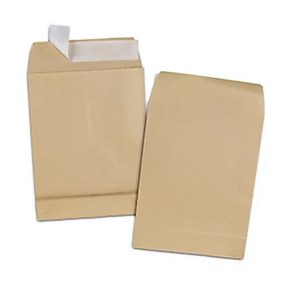 RAJA Pochette à Soufflet 5 Cm Kraft Blond Armé 120 G/m² 260 X 330 Mm Sans Fenêtre - Bande Auto-adhésive - Boîte De 50 1 RAJA Pochette à Soufflet 5 Cm Kraft Blond Armé 120 G/m² 260 X 330 Mm Sans Fenêtre - Bande Auto-adhésive - Boîte De 50