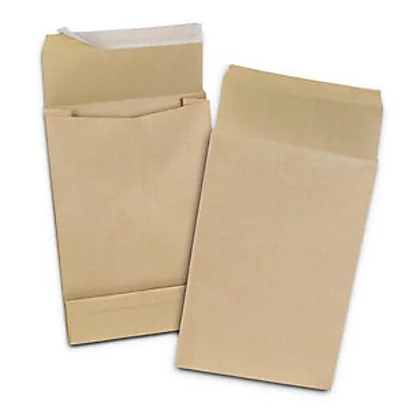 RAJA Pochette à Soufflet 9 Cm Kraft Blond Armé 120 G/m² 280 X 410 Mm Sans Fenêtre - Bande Auto-adhésive - Boîte De 50 1 RAJA Pochette à Soufflet 9 Cm Kraft Blond Armé 120 G/m² 280 X 410 Mm Sans Fenêtre - Bande Auto-adhésive - Boîte De 50