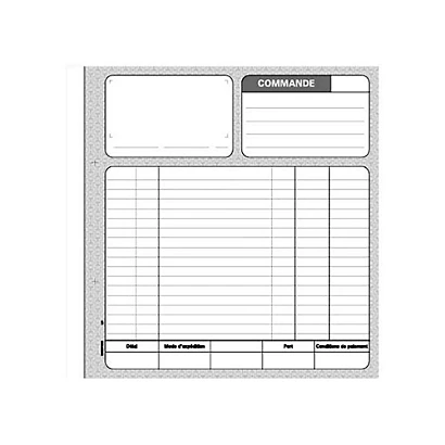 REGISTRES LE DAUPHIN Manifold Autocopiant 'Commande', Triple Exemplaires 21x29,7 Cm, 50 Pages - Lot De 5 1 REGISTRES LE DAUPHIN Manifold Autocopiant 'Commande', Triple Exemplaires 21x29,7 Cm, 50 Pages - Lot De 5